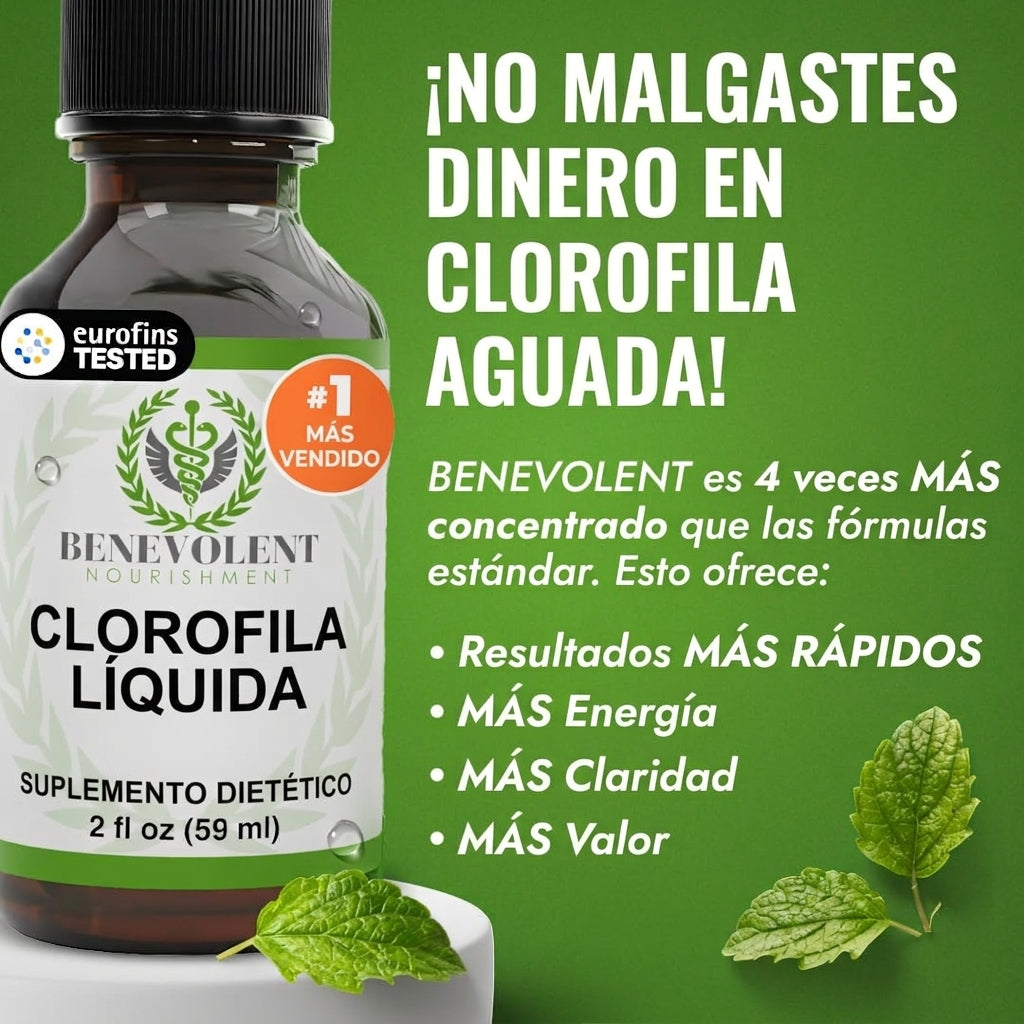 Clorofila Líquida 60ml 🌿