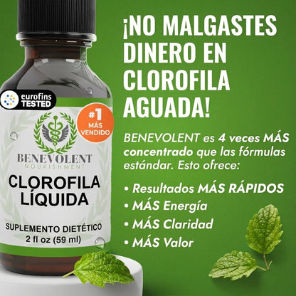 Clorofila Líquida 60ml 🌿